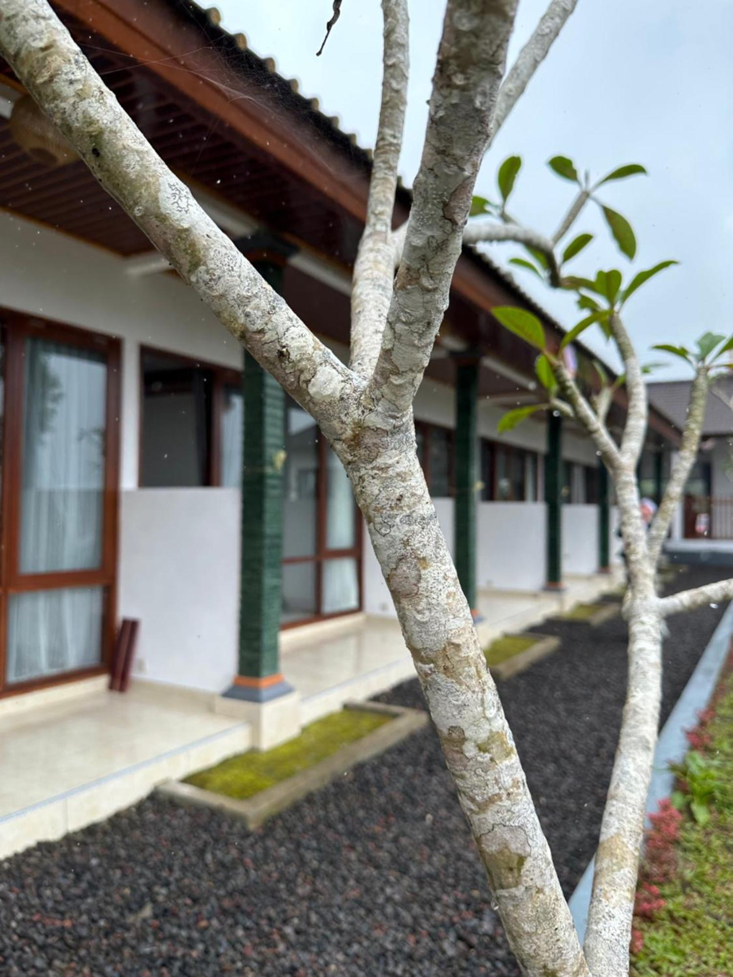 Bali Basuki Retreat Center Apartment Besakih Bagian luar foto